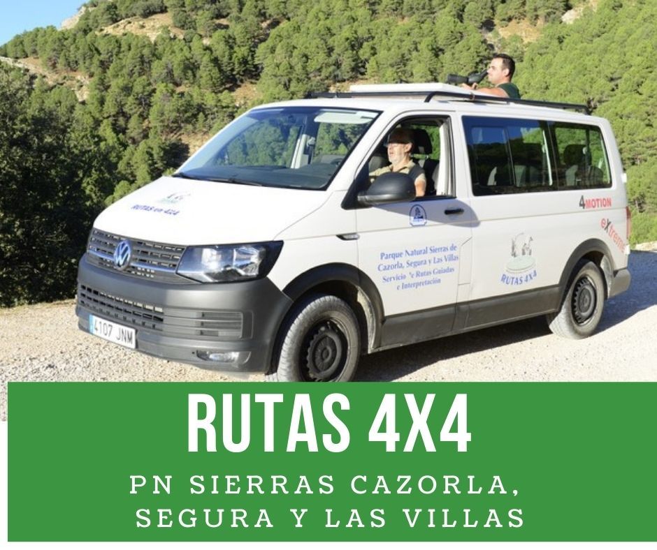 Excursiones 4x4 por zonas restringidas de la Sierra de Cazorla desde Arroyo Frío